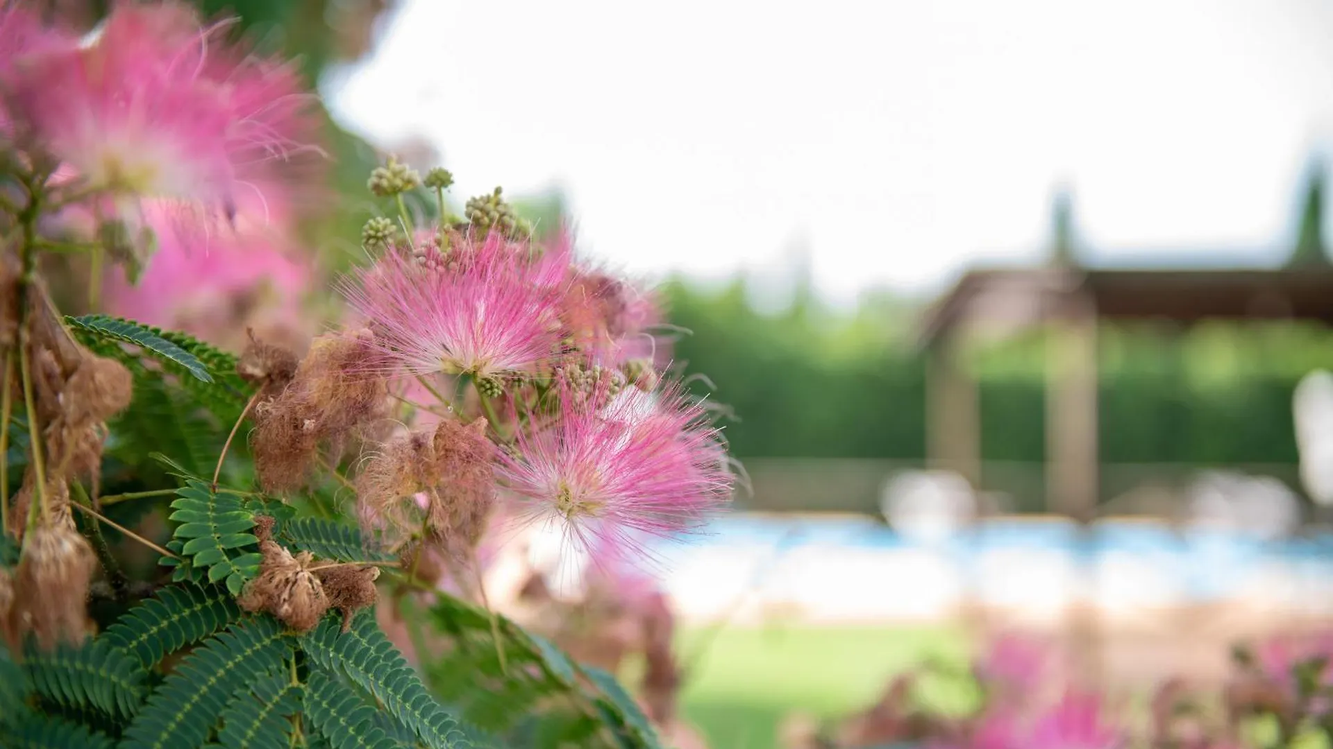 Farm stay Appartamento Fattoria Laterina